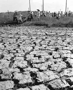 林县缺水取水艰难的场景